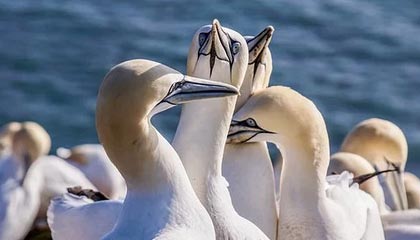 昨天的蘑菇影视：情绪失控让我反复看了三遍｜我学会了放过自己