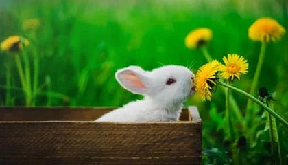 我被逼到崩溃边缘，蘑菇影视把全过程剪出来了（反复看了三遍）