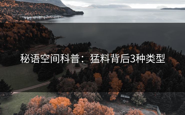 秘语空间科普：猛料背后3种类型