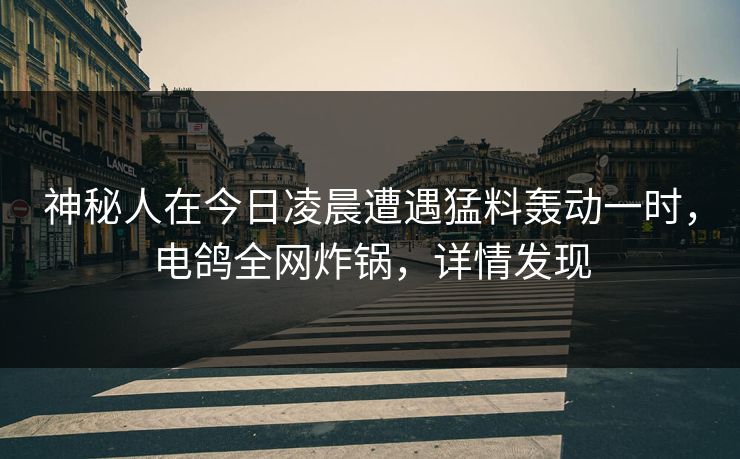 神秘人在今日凌晨遭遇猛料轰动一时，电鸽全网炸锅，详情发现