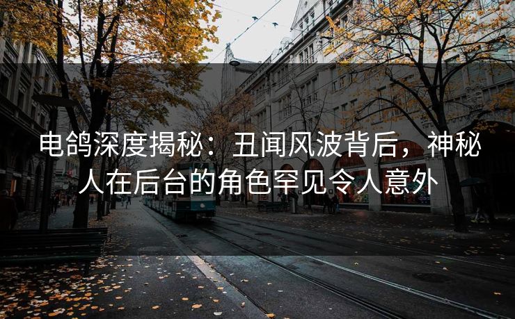 电鸽深度揭秘：丑闻风波背后，神秘人在后台的角色罕见令人意外
