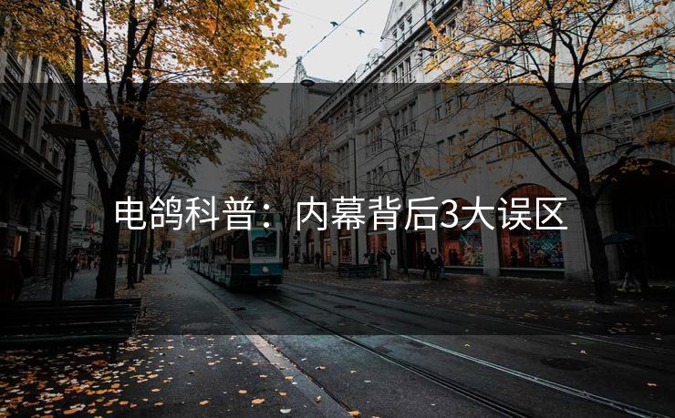 电鸽科普：内幕背后3大误区