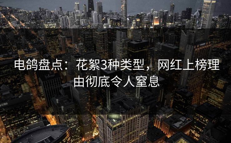 电鸽盘点：花絮3种类型，网红上榜理由彻底令人窒息