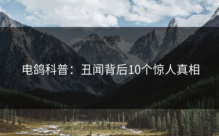 电鸽科普:丑闻背后10个惊人真相