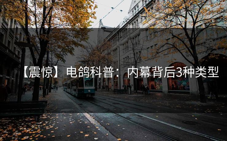 【震惊】电鸽科普：内幕背后3种类型