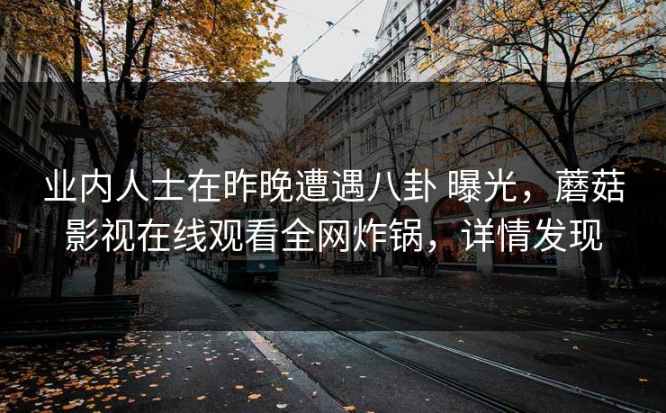 业内人士在昨晚遭遇八卦 曝光，蘑菇影视在线观看全网炸锅，详情发现